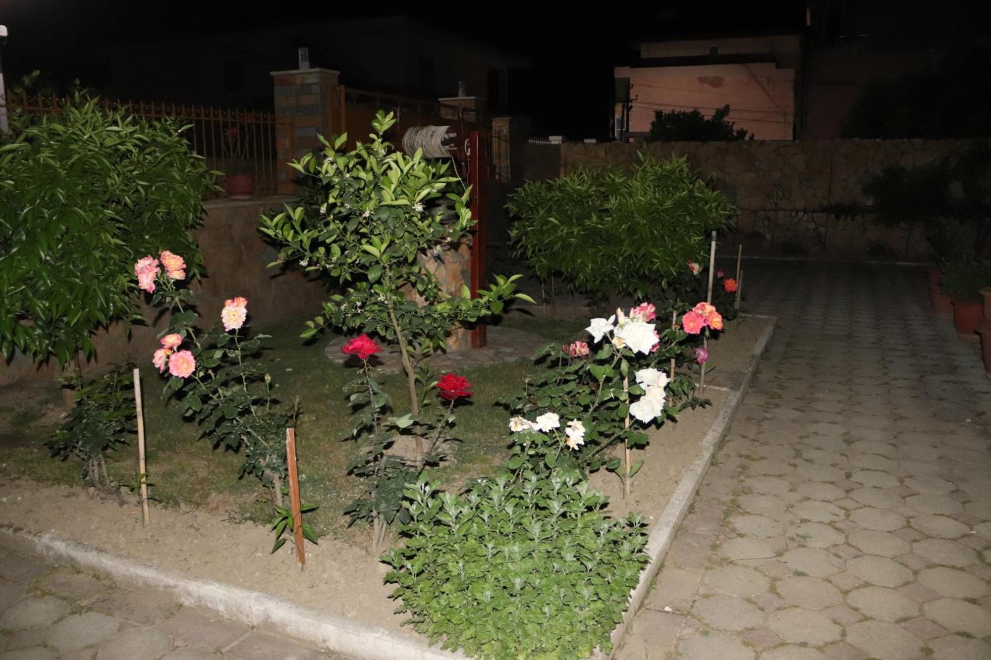Raisa Guesthouse 12 Berat Exterior photo